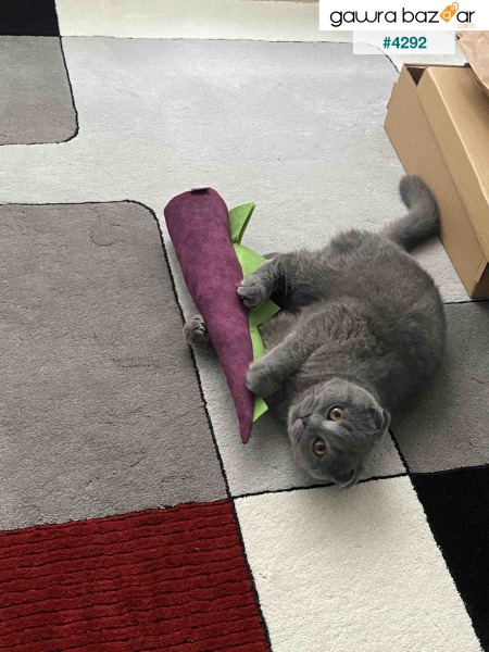 ماتاتابي - دينو (40x12 سم) لعبة قطة بصوت غني ورائحة قوية