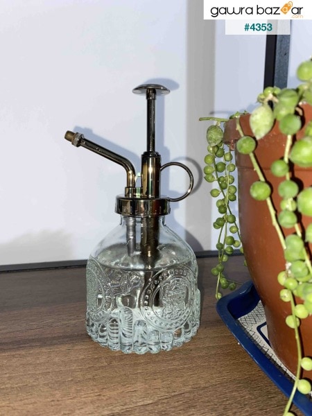 زجاجة سقي نباتات زجاجية عتيقة - شفافة
