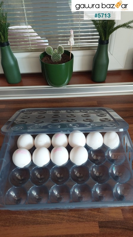 24 قطعة كوب بيض ثلاجة بغطاء مغلق - حاوية تخزين البيض