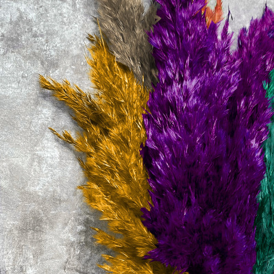 مجموعة البامبا الملونة من شوكد سبرينج 10 قطع