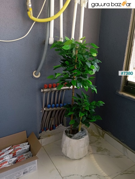 زهرة اصطناعية وعاء خرساني بنيامين غرفة المعيشة نبات بامبو ساق كثيف ورق كامل 105 سم