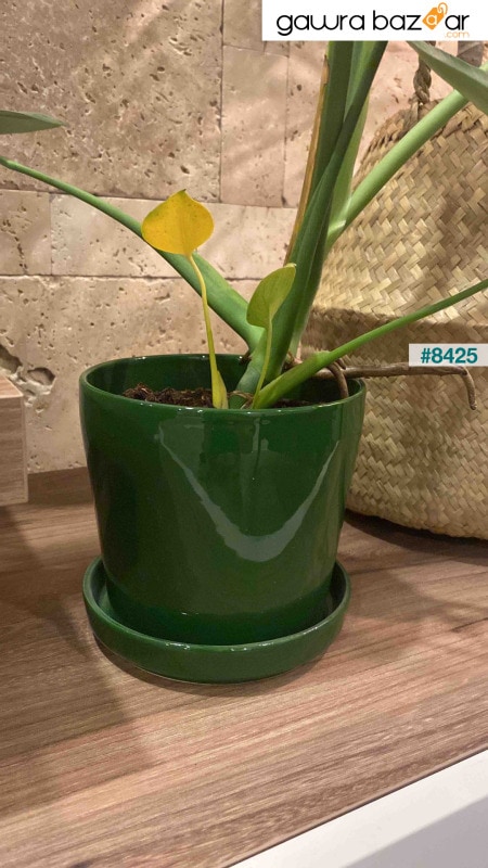 أنج ديزاين إناء زهور سيراميك مع طبق 14 سم أخضر